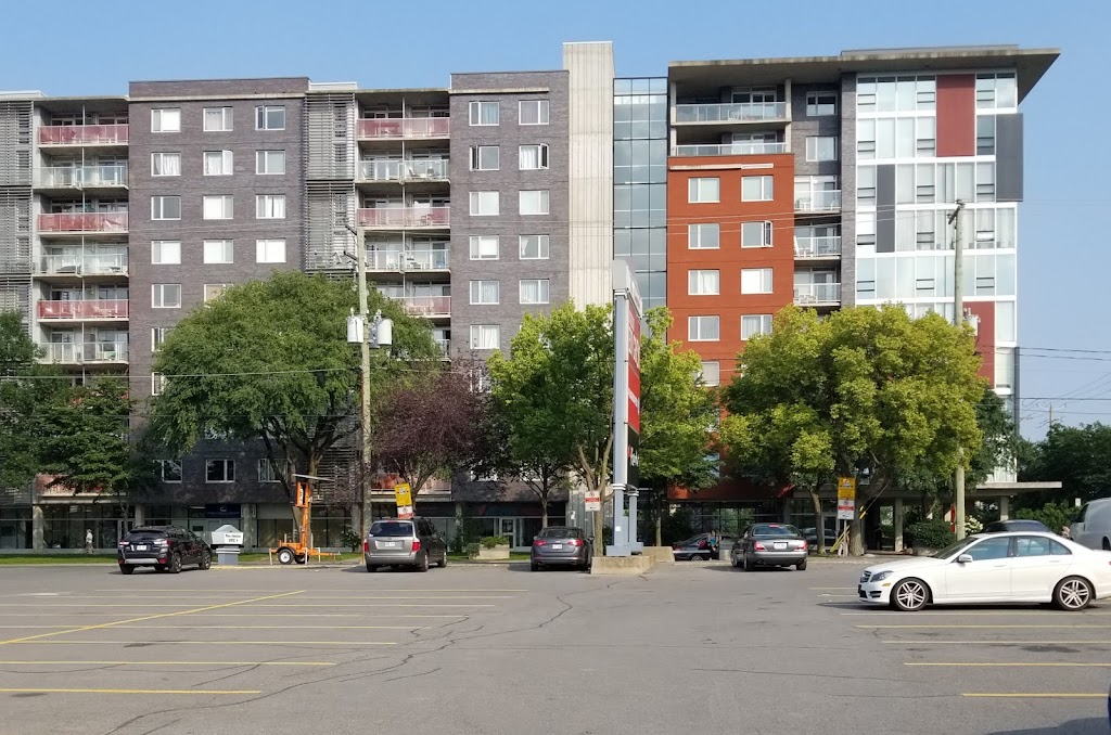 IMPÔT MONTRÉAL - DG | 4650 Rue Jean-Talon E #1012, Saint-Léonard, QC H1S 0A6, Canada | Phone: (514) 928-0864