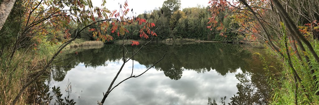 Welsh Tract - Forest Of The Secret Pond Trail | 3741-4367 Line 12, Cookstown, ON L0L 1L0, Canada