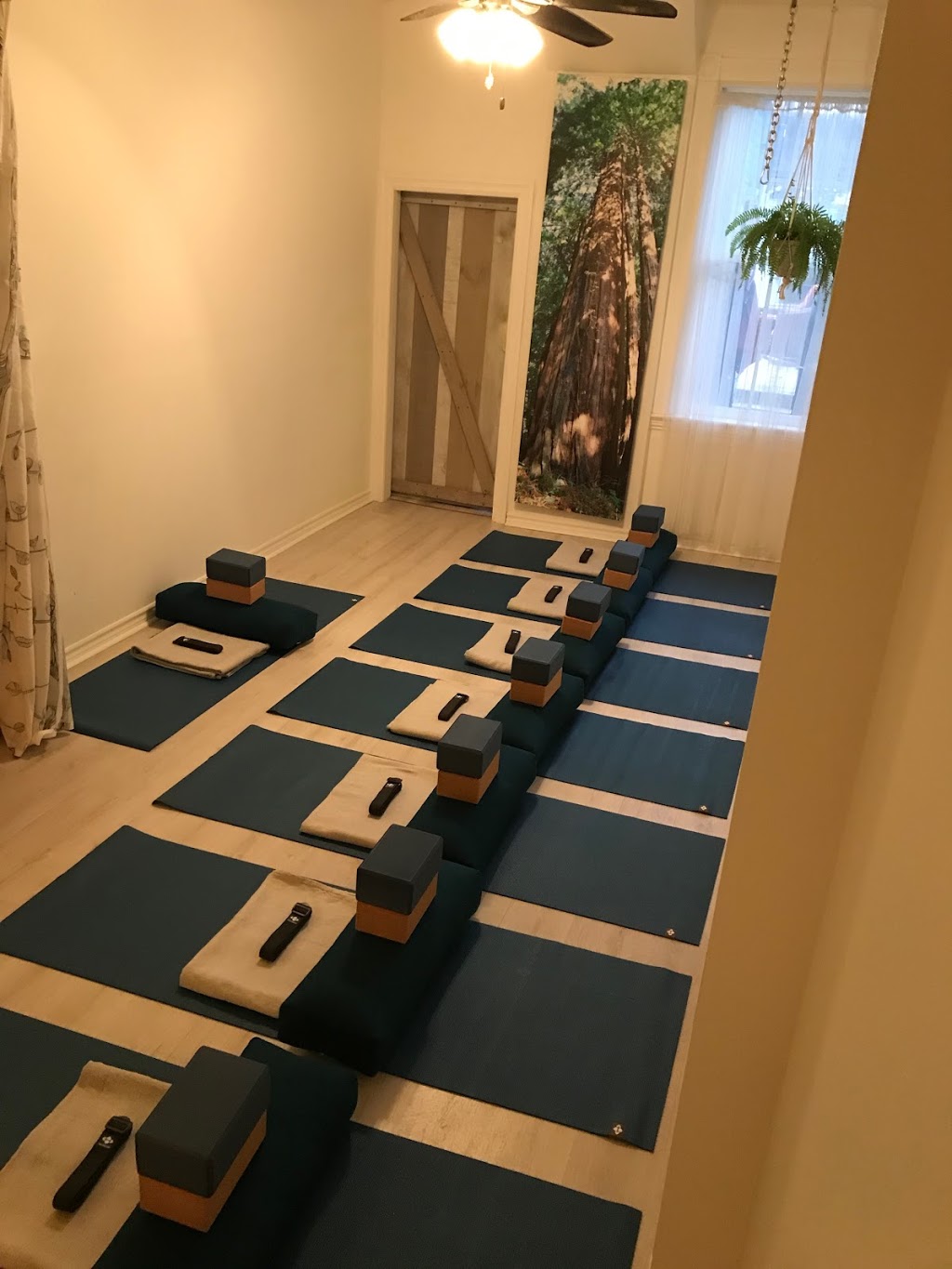 ALIGN Wellness Studio | 596 Richmond St W, Toronto, ON M5V 1Y9, Canada | Phone: (416) 551-1499
