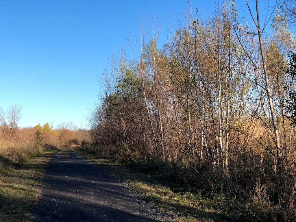 Sentier 51 (CCN) | Unnamed Road, Orléans, ON K1C, Canada