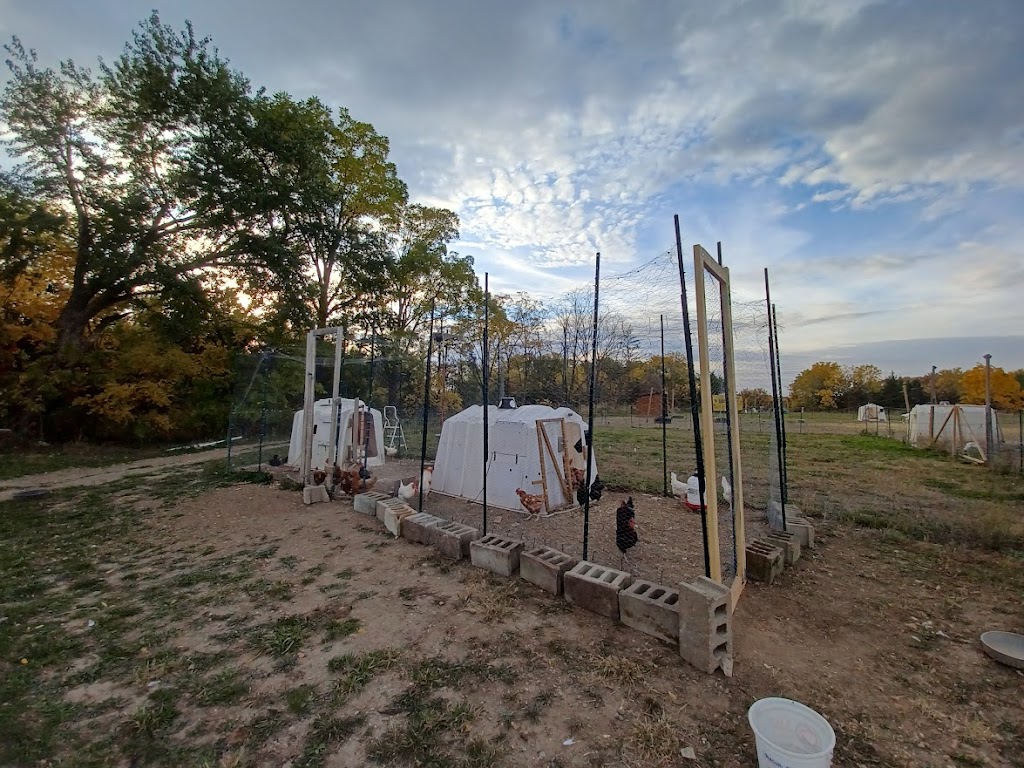 Hochs Family Farm | 2392B Snyders Rd E, Petersburg, ON N0B 2H0, Canada | Phone: (226) 698-7469