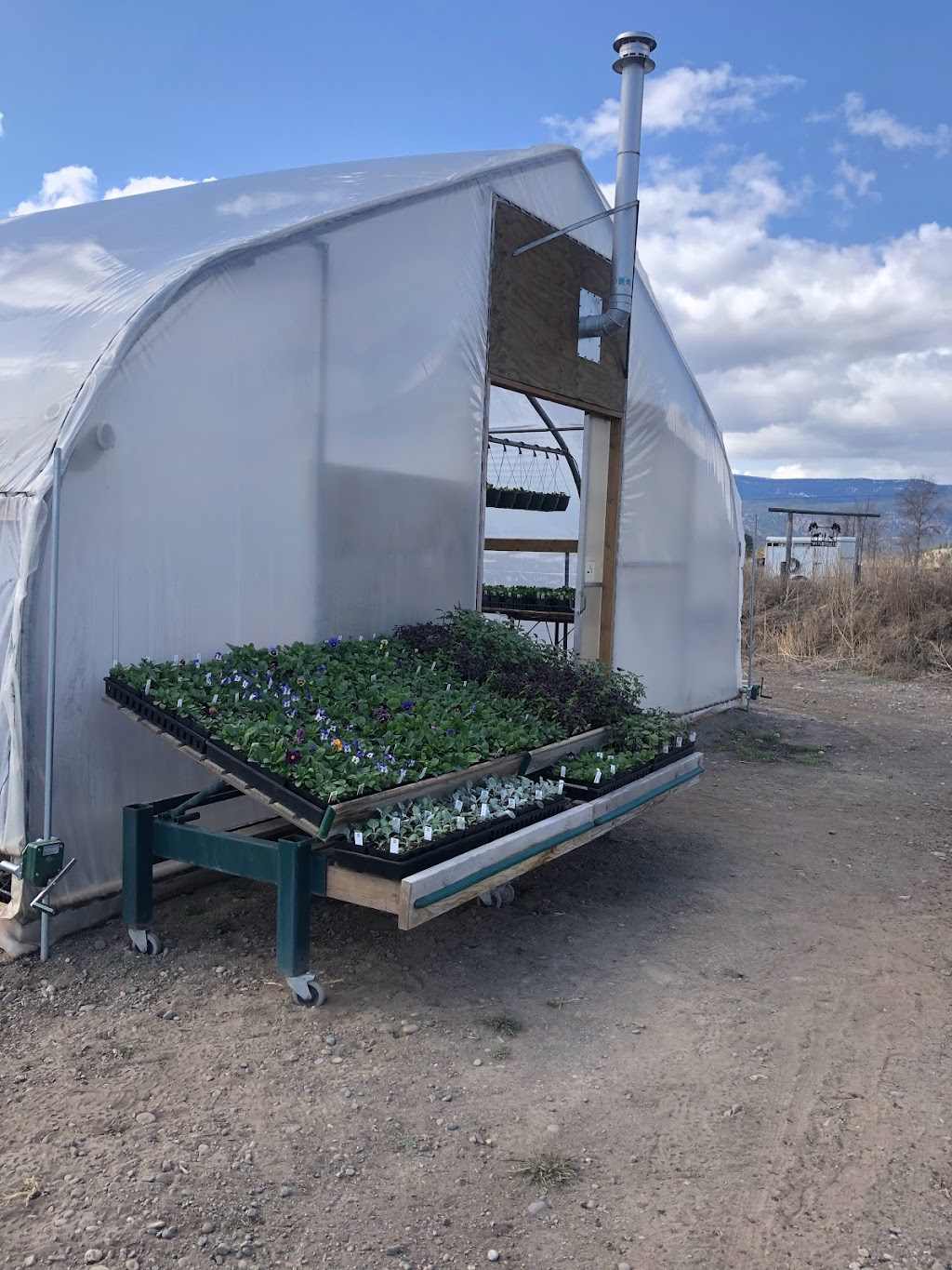 MacVicar Family Growers | 1889 Nicolls Rd, Merritt, BC V1K 1N7, Canada | Phone: (250) 936-8186