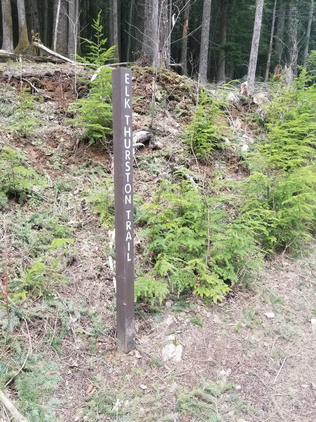 Elk Mountain Trailhead | 50311-50285 Elk View Rd, Chilliwack, BC V4Z 1A5, Canada
