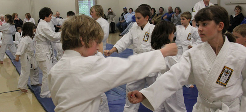 Kyushu-Ryu Ju-Jitsu | 230 Pleasant St, Dartmouth, NS B2Y 3R8, Canada | Phone: (902) 223-7104