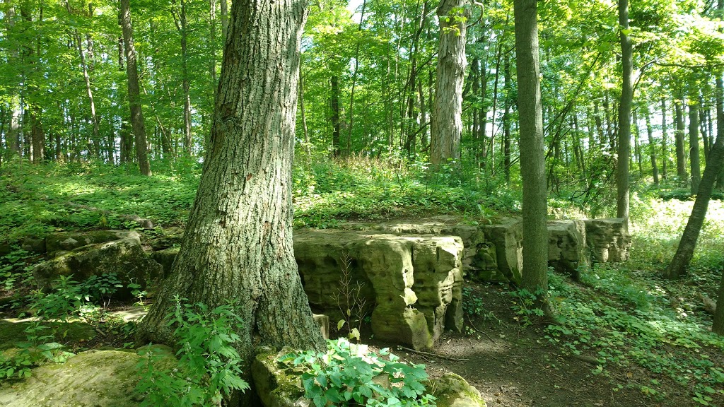 Eramosa Karst Conservation Area | Upper Mt Albion Rd, Stoney Creek, ON L8J 3X9, Canada | Phone: (905) 627-1233