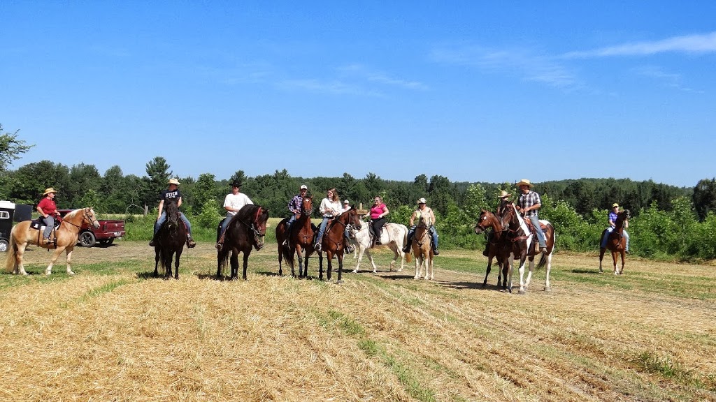 Horse Country Campground | 503 Rafting Rd, Foresters Falls, ON K0J 1V0, Canada | Phone: (613) 867-0585
