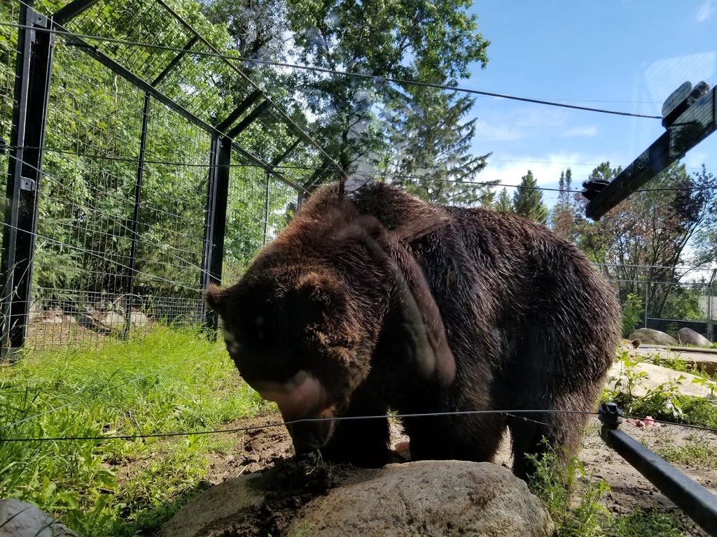 Saskatoon Zoo Society | 1903 Forestry Farm Park Dr, Saskatoon, SK S7S 1G9, Canada | Phone: (306) 975-3395