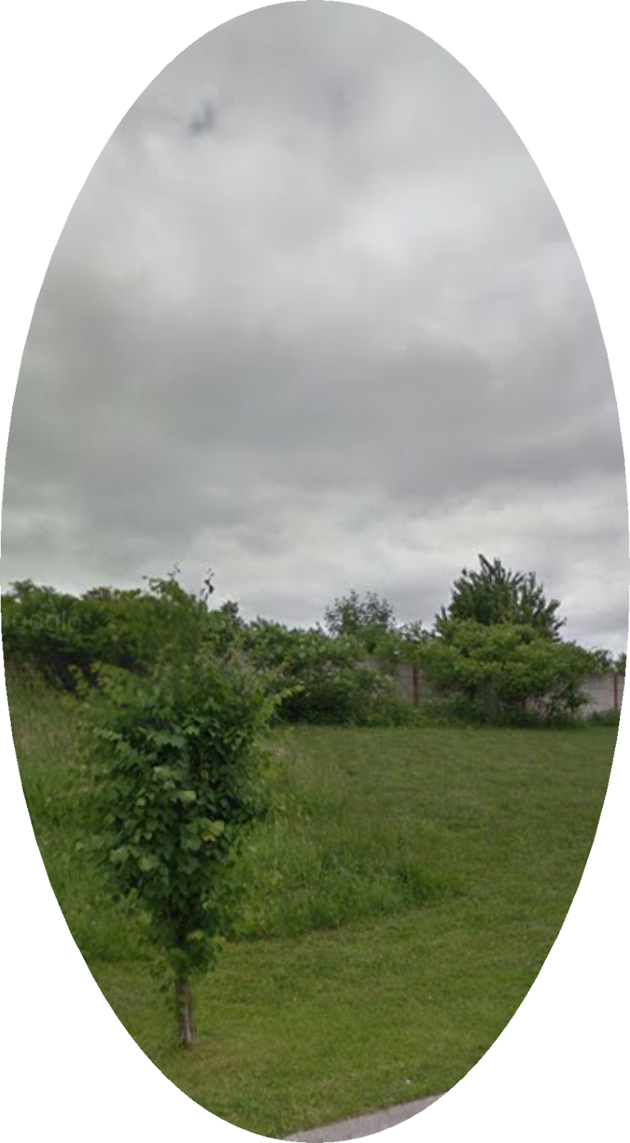 Talltree Park - West | Argyle, London, ON N5V 4V4, Canada | Phone: (519) 661-2489
