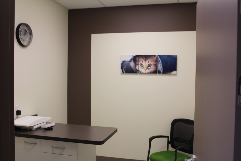 Rutherford Veterinary Clinic | 11464 17 Ave SW, Edmonton, AB T6W 2S5, Canada | Phone: (780) 761-0350