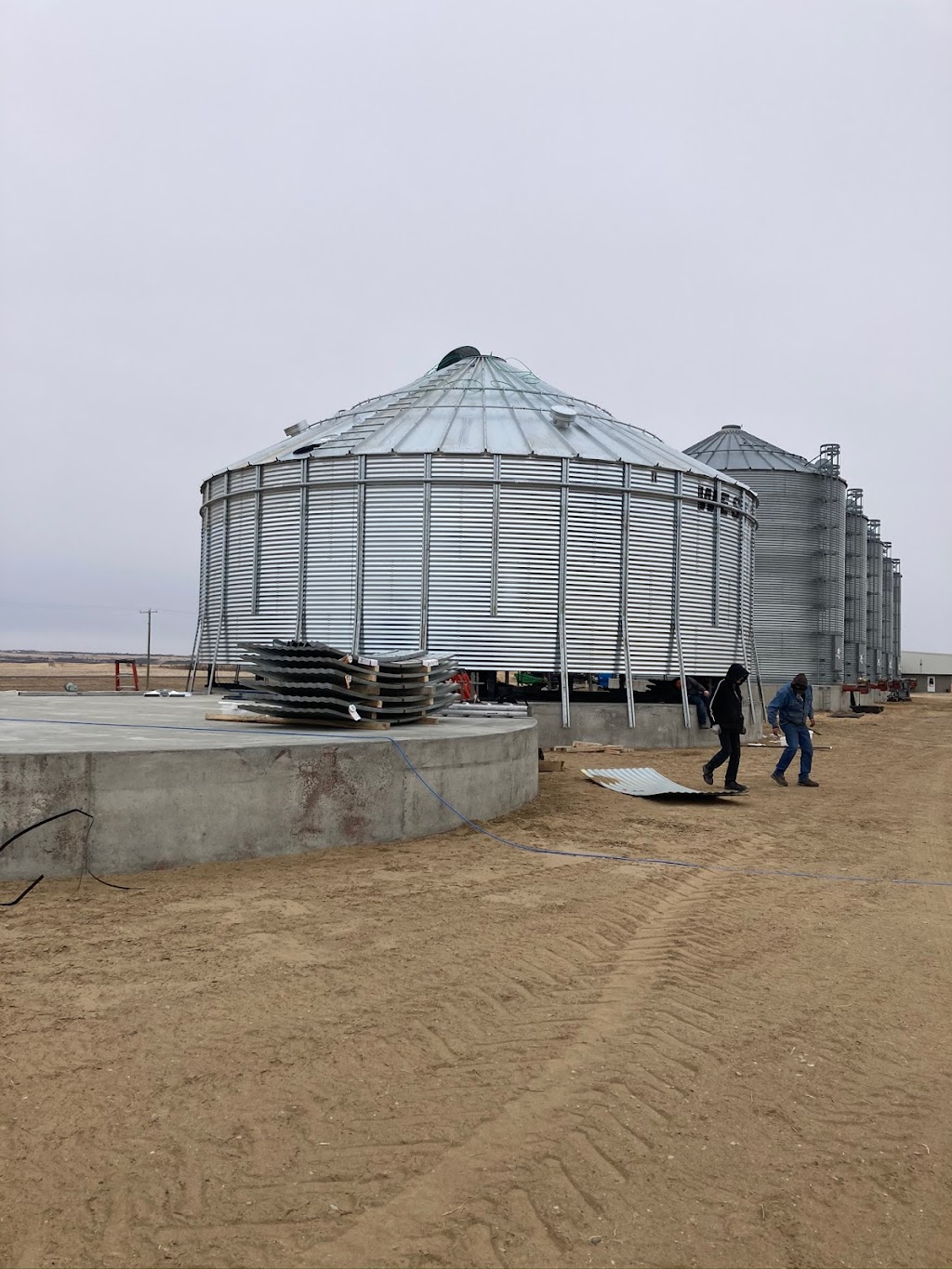 Montbello Plus LTD | Hays Rd F North, Hays, AB T0K 1B0, Canada | Phone: (306) 604-9367