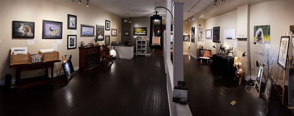 Launstein Imagery Wildlife Art Gallery | 12323 20 Ave, Blairmore, AB T0K 0E0, Canada | Phone: (403) 627-3969