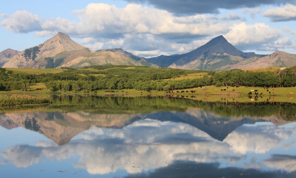 Thanksgiving Ranch | SE 26-4-1-W5M, Pincher Creek, AB T0K 1W0, Canada | Phone: (403) 627-1961