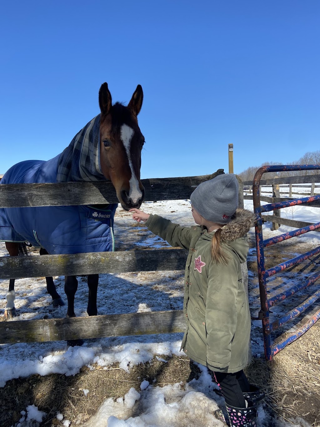 Sunrise Equestrian Centre | 612 Powerline Rd, Trenton, ON K8V 5P7, Canada | Phone: (613) 921-7856