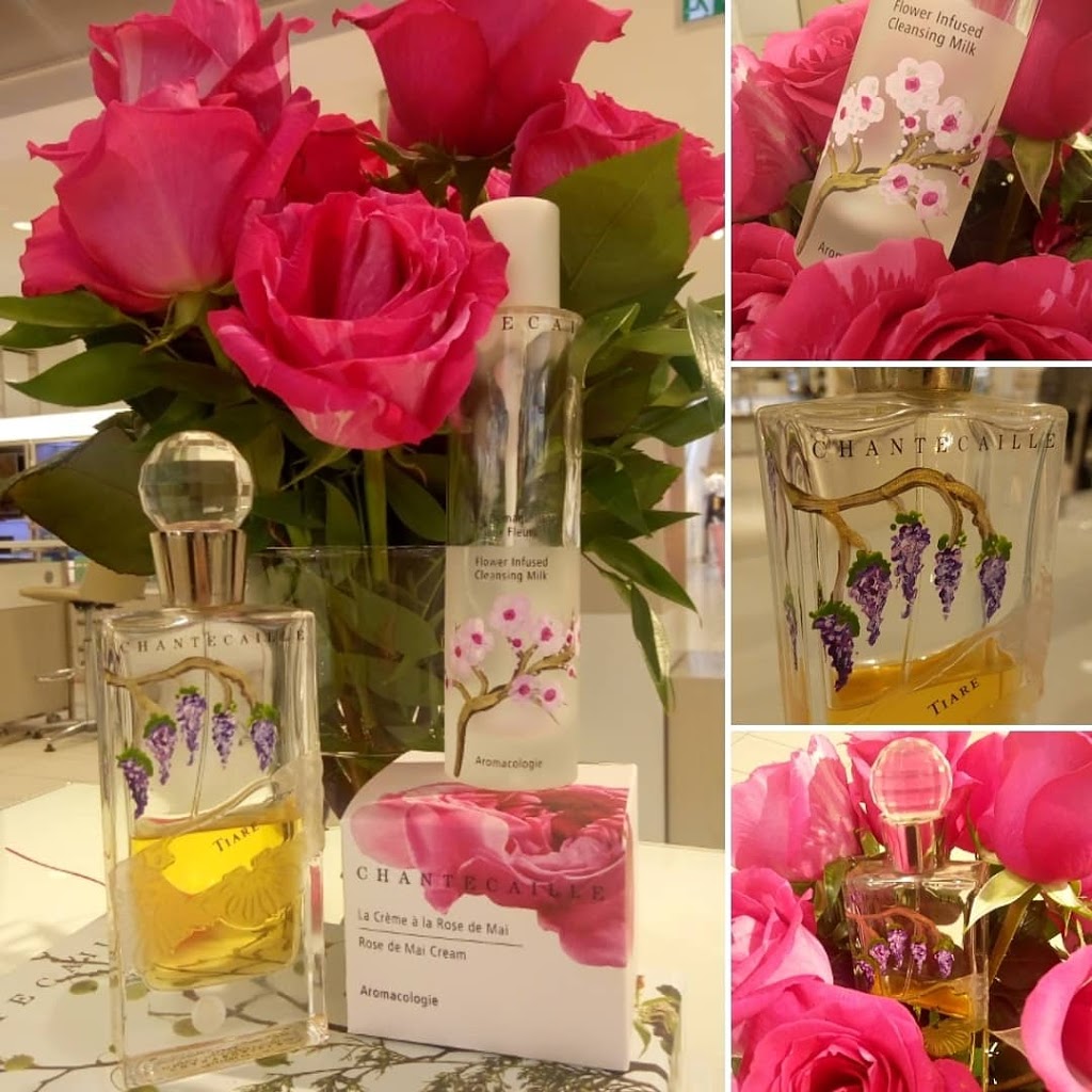 The Colourful Chameleon | 1055 Bayview Dr, Woodlawn, ON K0A 3M0, Canada | Phone: (613) 832-8920