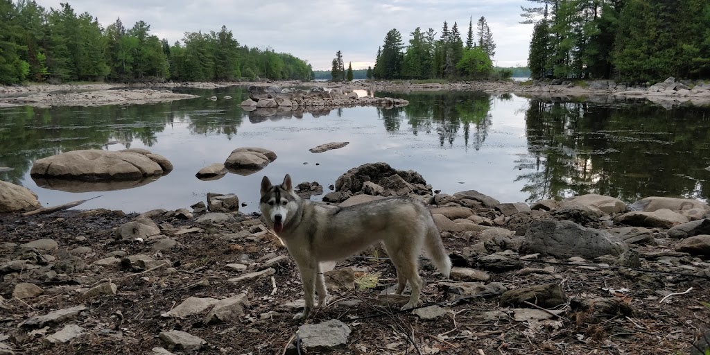 Morris Island Conservation Area | 156 Morris Island Dr, Fitzroy Harbour, ON K0A 1X0, Canada | Phone: (613) 253-0006