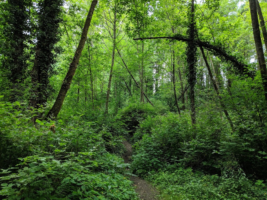 Glenbrook Ravine Trail | Glenbrook, Ravine Trail, New Westminster, BC V3L 5J5, Canada | Phone: (604) 521-3711