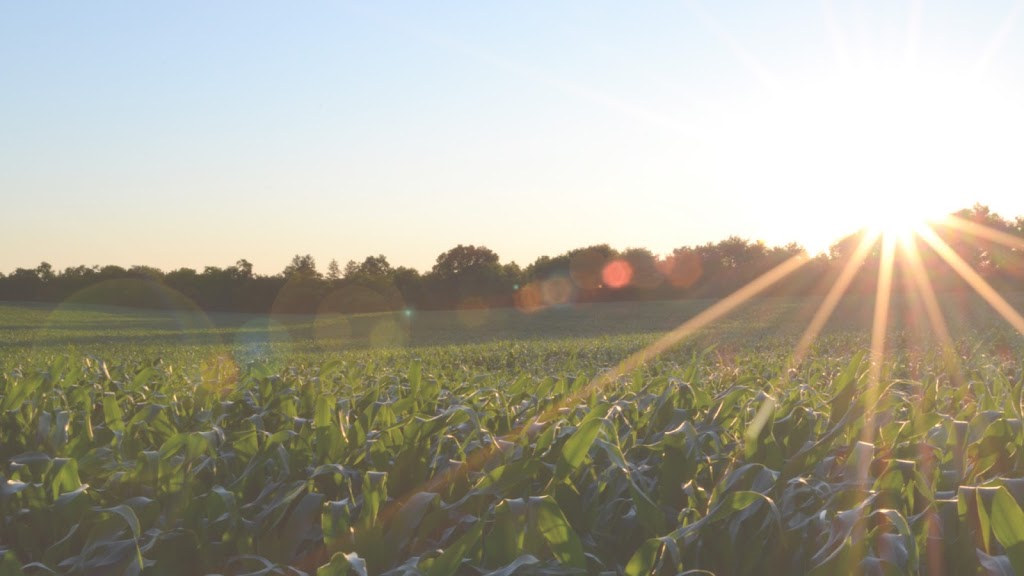 Karen Hill | 3311 River Range Rd, Ohsweken, ON N0A 1M0, Canada | Phone: (519) 445-4554