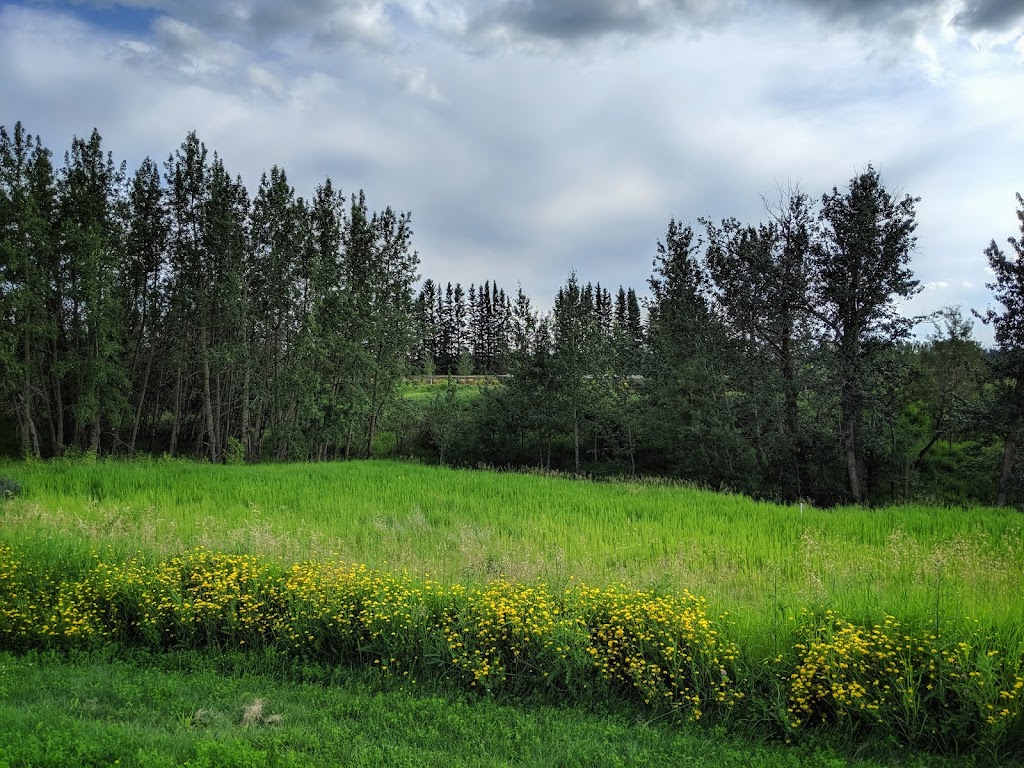 Graydon Hill | 1904 Graydon Hill Green SW, Edmonton, AB T6W 4C3, Canada | Phone: (780) 420-0044