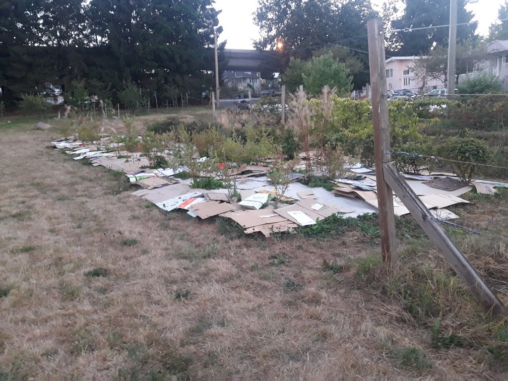 Copley Community Orchard | 3587 Copley St, Vancouver, BC V5N 5B2, Canada