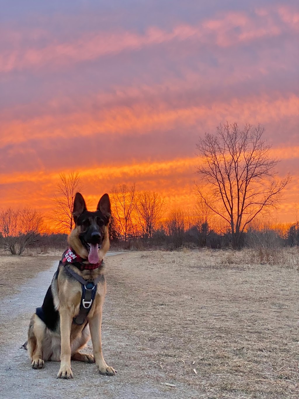 Bronte Creek Leash-free Dog Park | 1100 Burloak Dr, Burlington, ON L7L 6B2, Canada | Phone: (905) 827-6911