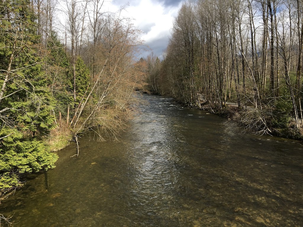 Coquitlam River Park | 1190 Shaughnessy St, Coquitlam, BC V3E, Canada