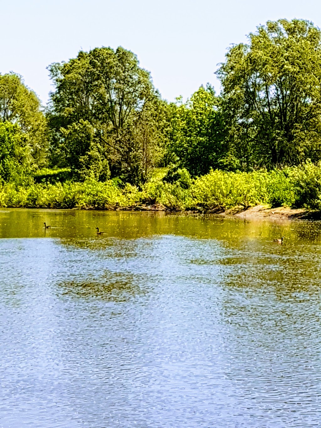 DAubigny Creek Park | Brantford, ON N3T, Canada | Phone: (519) 756-1500