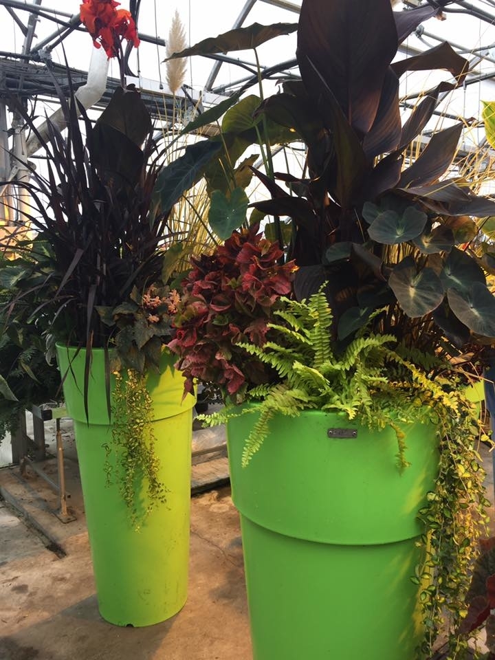 Conception Jardins | 83 Rang St Charles, Saint-Thomas, QC J0K 3L0, Canada | Phone: (450) 365-0664