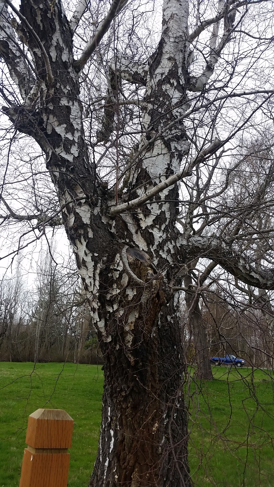 Marine Drive Park | 1025 Marine Dr, Bellingham, WA 98225, USA