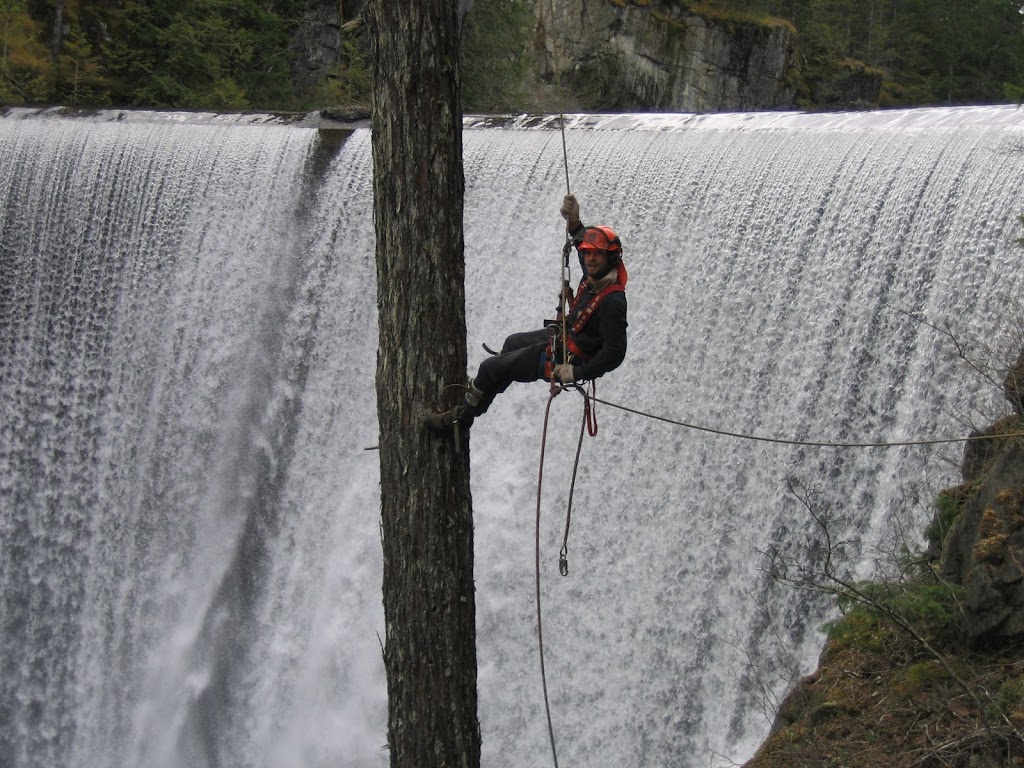 2 Mikes Tree Service | 7217 Lantzville Rd, Lantzville, BC V0R 2H0, Canada | Phone: (250) 714-9214