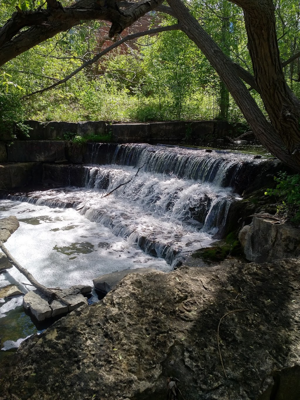 Springbrook Park | Richmond Hill, ON L4B 3P9, Canada | Phone: (905) 771-8800