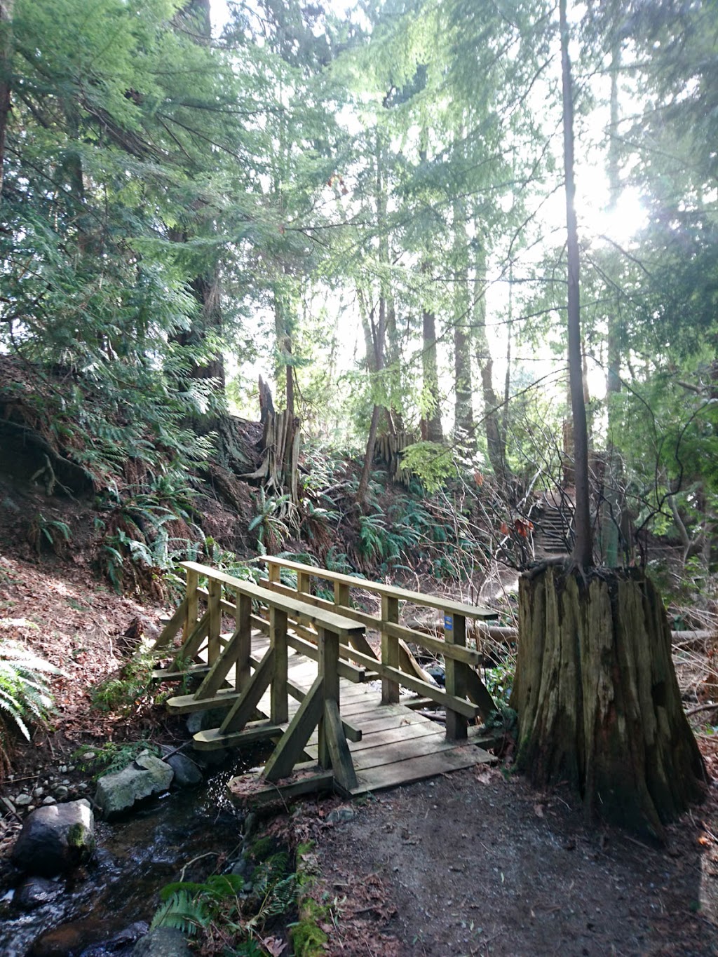 Larson Bay Park | West Vancouver, BC V7W, Canada | Phone: (604) 925-7200