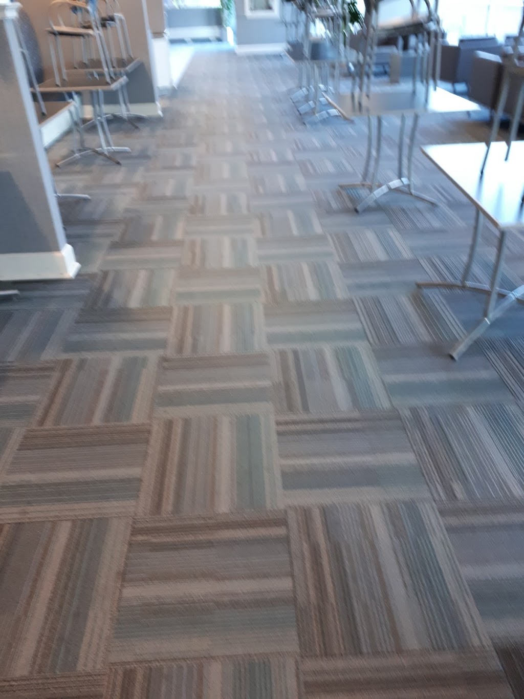 4 seasons carpet cleaning | 111 Colonnade Rd unit 204, Ottawa, ON K2E 7M3, Canada | Phone: (613) 321-3454
