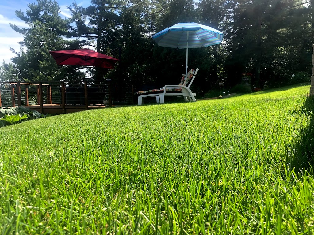 Gazon Bouchard - La relève | 2693 Chem. du Plateau N, La Baie, QC G7B 0H1, Canada | Phone: (418) 818-0787