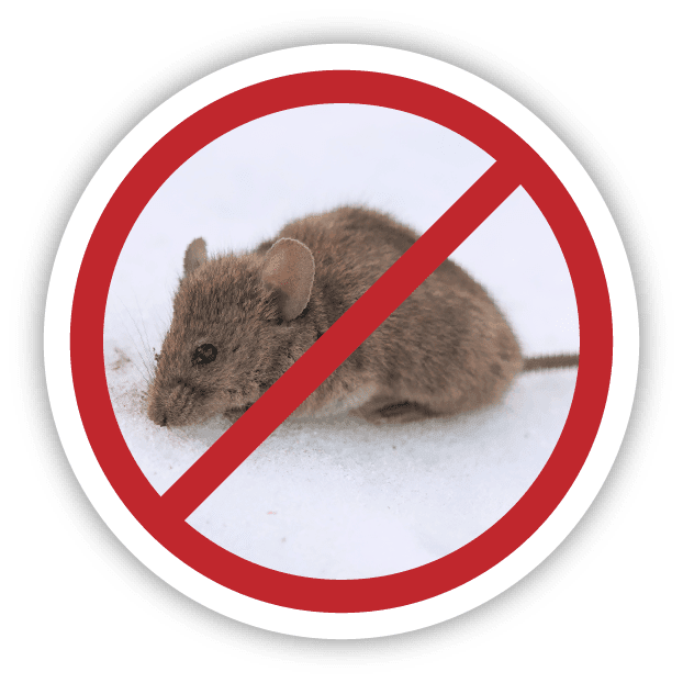 Radar Extermination | 288 Rue de Marseille, Sainte-Julie, QC J3E 2C5, Canada | Phone: (866) 951-6422