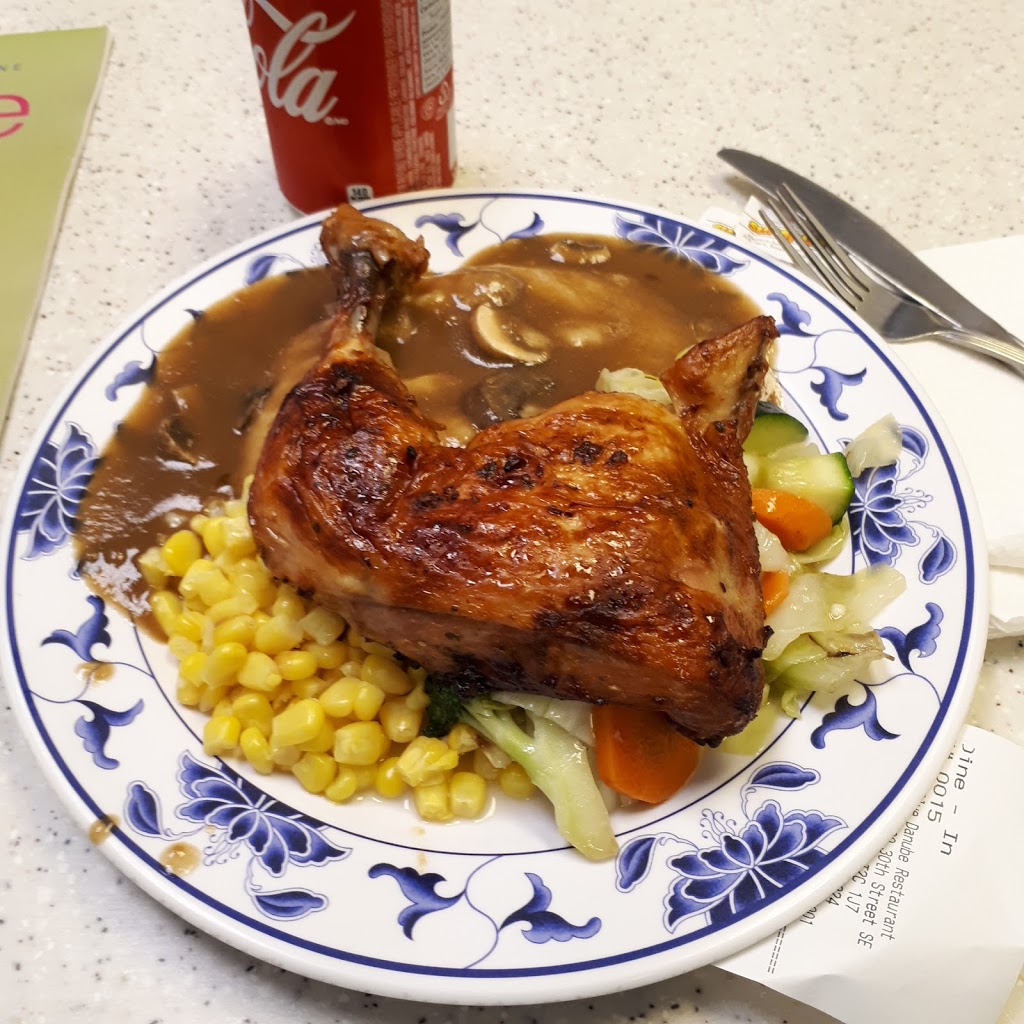 Blue Danube Restaurant | 7800 30 St SE, Calgary, AB T2C 2G7, Canada | Phone: (403) 236-4224