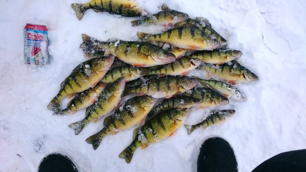 Daves Fish Huts | 7792 Black River Rd, Georgina, ON L0E, Canada | Phone: (905) 722-3372