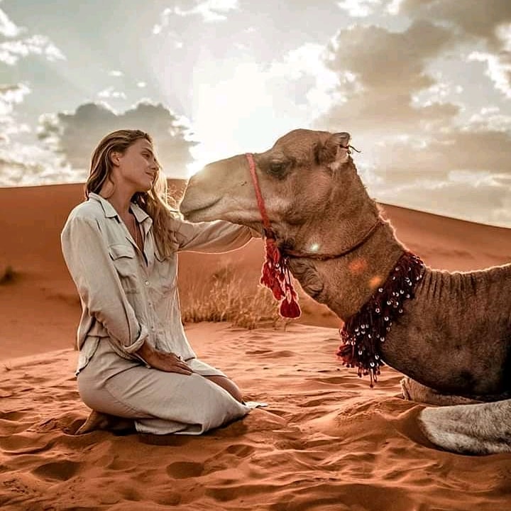 Morocco Desert Tours | 296 Bd Strathmore, Dorval, QC H9S 2J4, Canada | Phone: (217) 525-4563