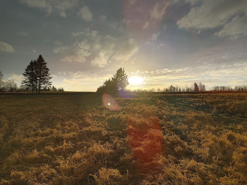 Ferme Goulab | 2382 2e Rang E, Saint-Joseph-de-Coleraine, QC G0N 1B0, Canada | Phone: (418) 423-4159