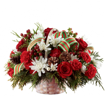 Regina Florist | 2593 Quance St, Regina, SK S4V 2Y8, Canada | Phone: (306) 757-7673