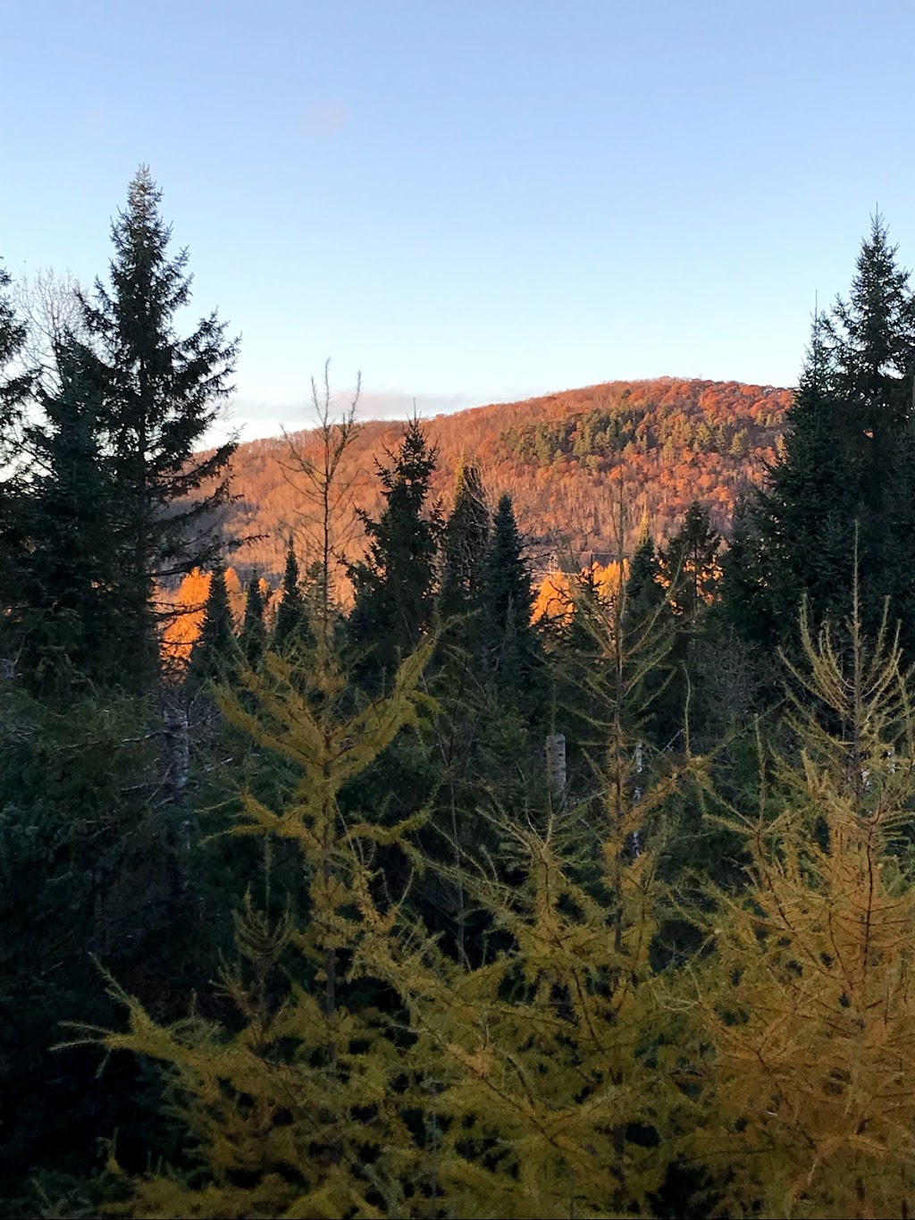 Wildberry Inn | 855 Rue de la Colline, Mont-Tremblant, QC J8E 2P7, Canada | Phone: (819) 429-5596