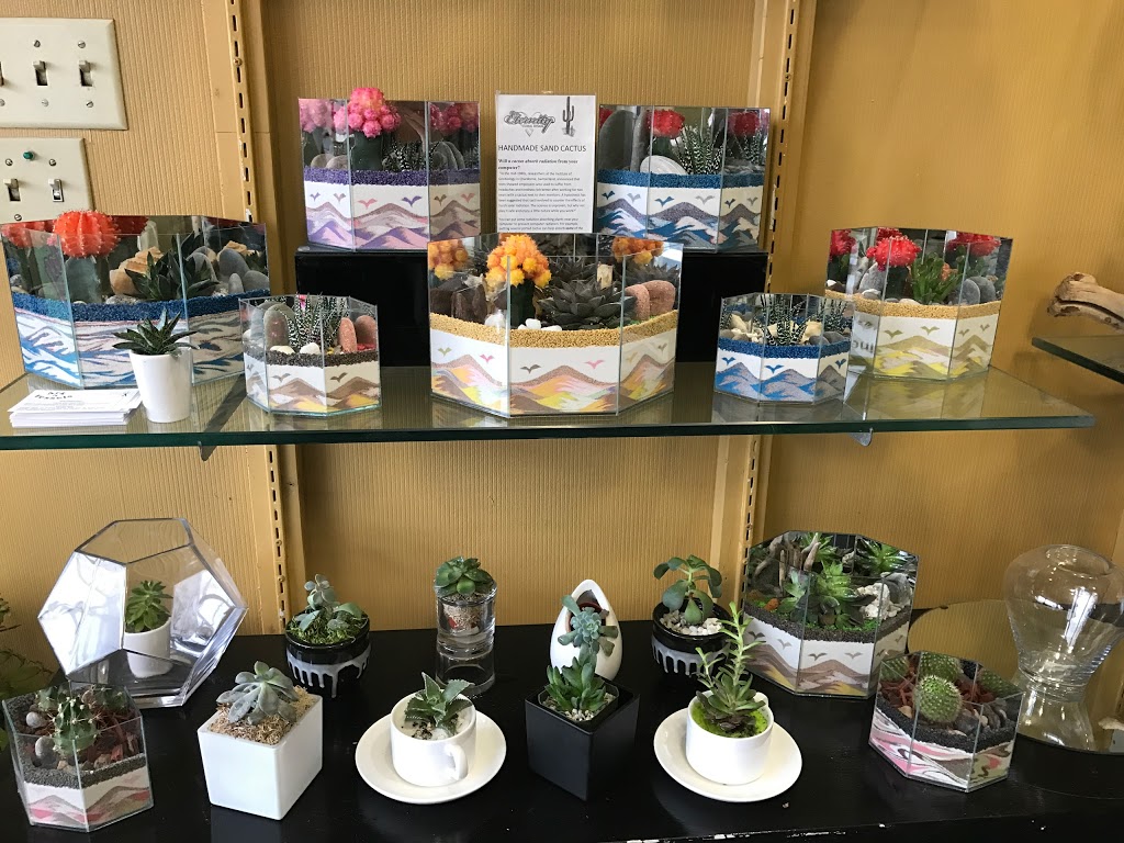 Eternity Floral Design | 858 Wilson Ave, North York, ON M3K 1E5, Canada | Phone: (647) 260-0588