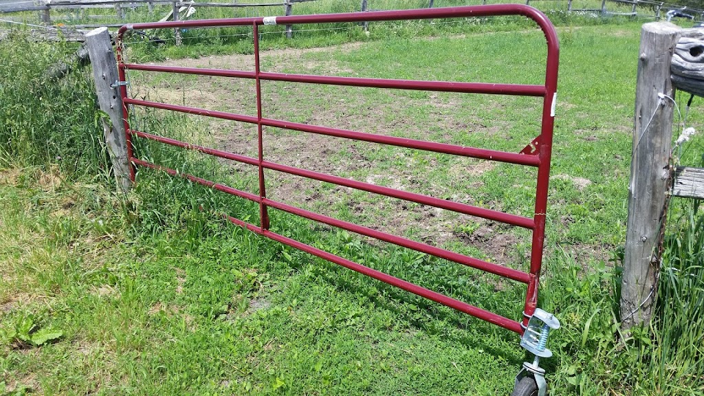 Cedar Patch Farms | 2335 Blessington Rd, Corbyville, ON K0K 1V0, Canada | Phone: (613) 966-4771