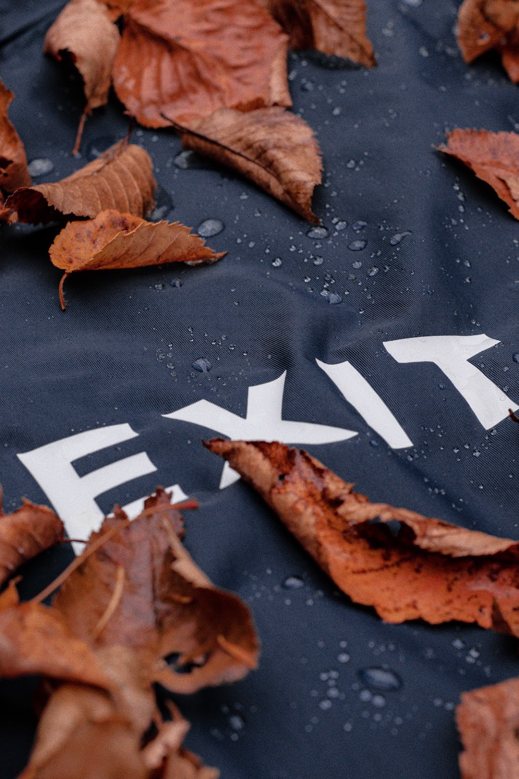 Exit | 511 Rue du Galop, Lévis, QC G6C 1W7, Canada | Phone: (581) 745-1244
