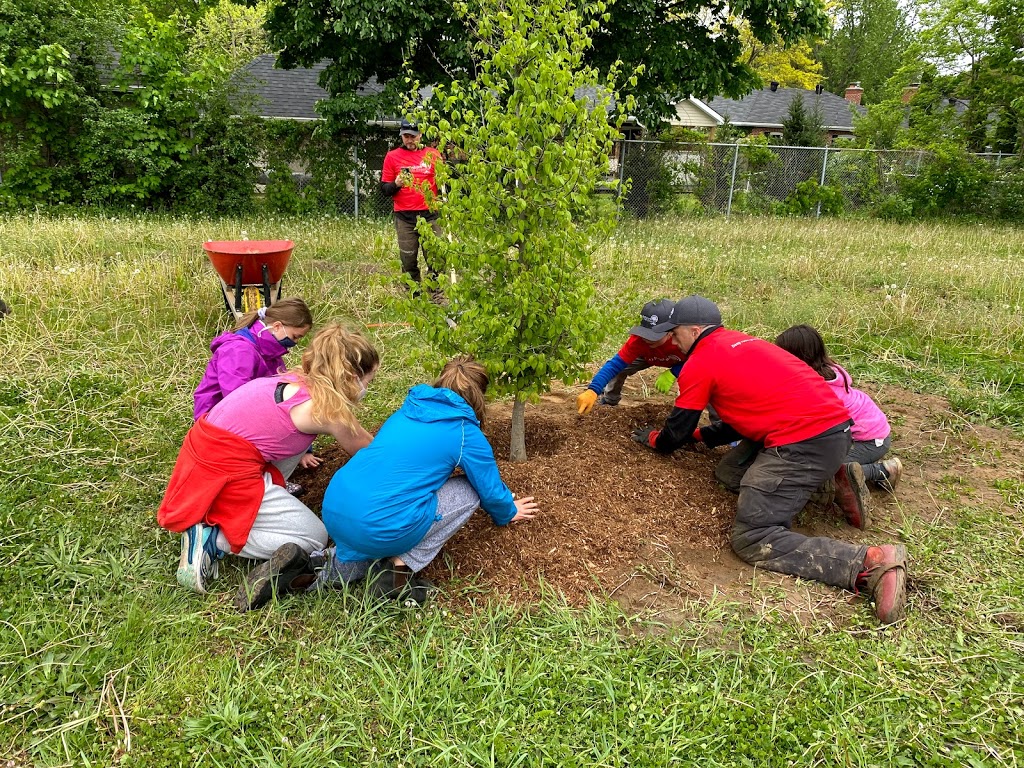 Northshore Tree Experts | 15 Oakley Park Square, Barrie, ON L4M 2J9, Canada | Phone: (705) 315-0210