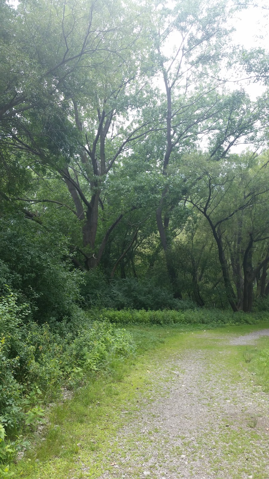 Tifft Nature Preserve | 1200 Fuhrmann Boulevard, Buffalo, NY 14203, USA | Phone: (716) 825-6397