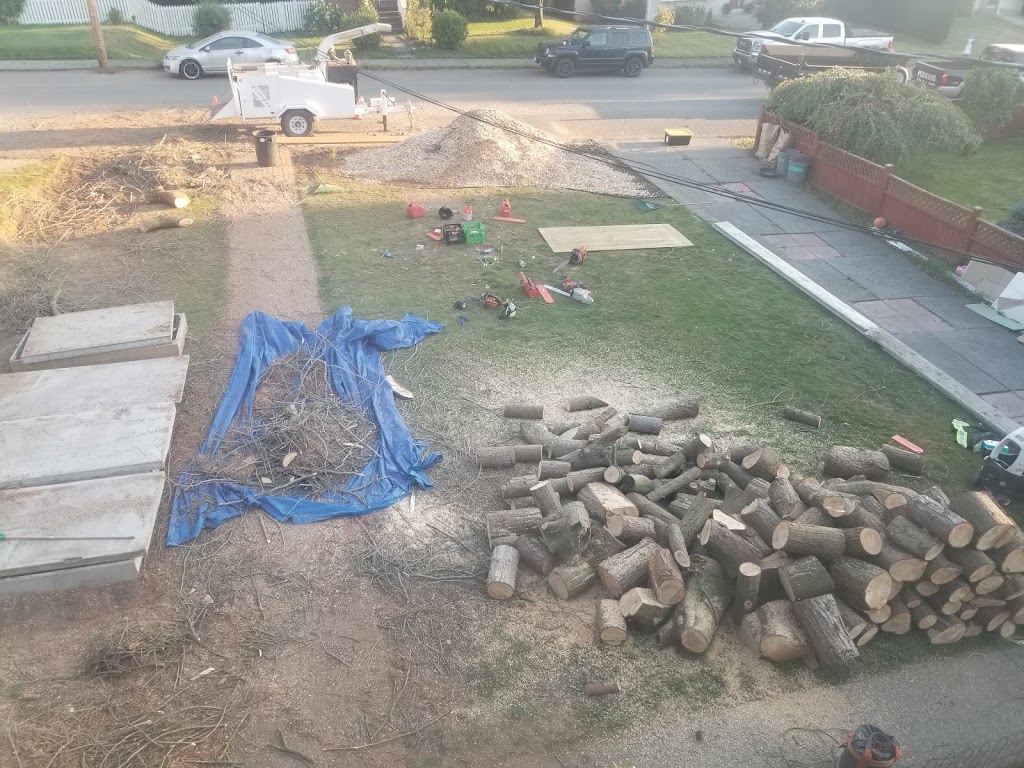 Pegasus Hedge And Tree Service | 35336 McKinley Pl, Abbotsford, BC V2S 8L8, Canada | Phone: (778) 814-2502