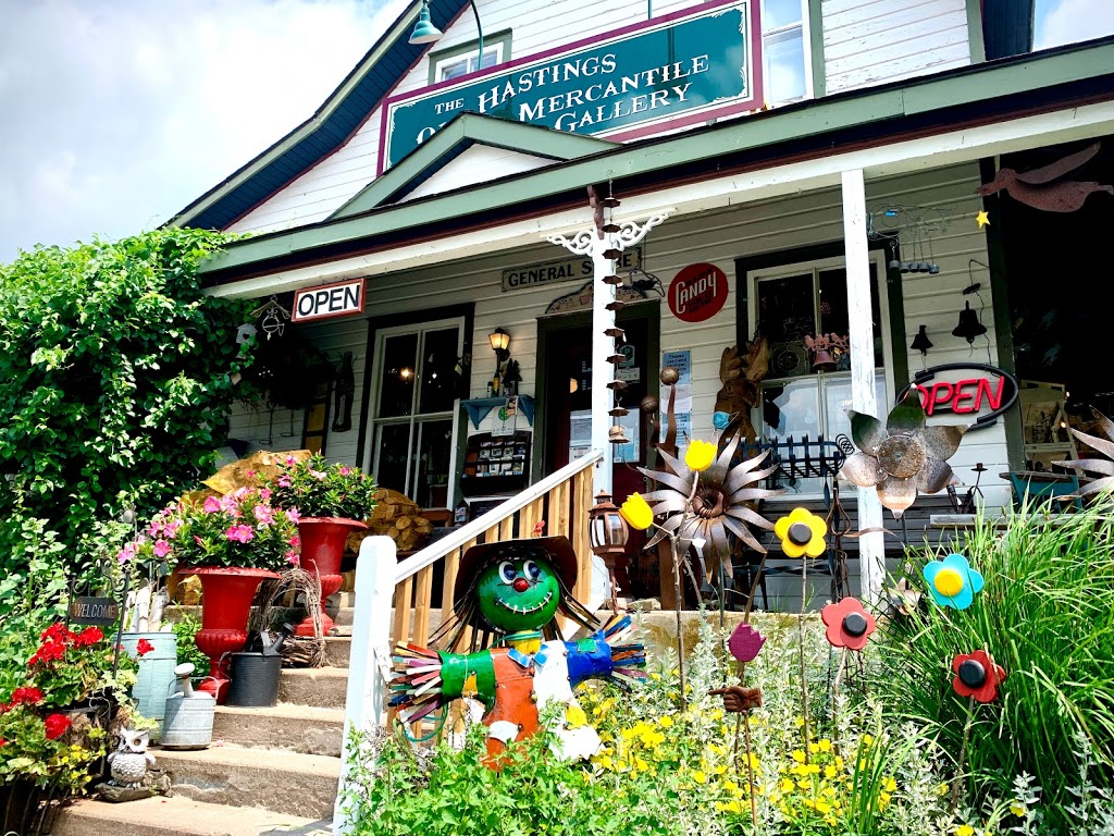 The Old Hastings Gallery | 3103 Old Hastings Rd, Coe Hill, ON K0L 1P0, Canada | Phone: (613) 337-5050