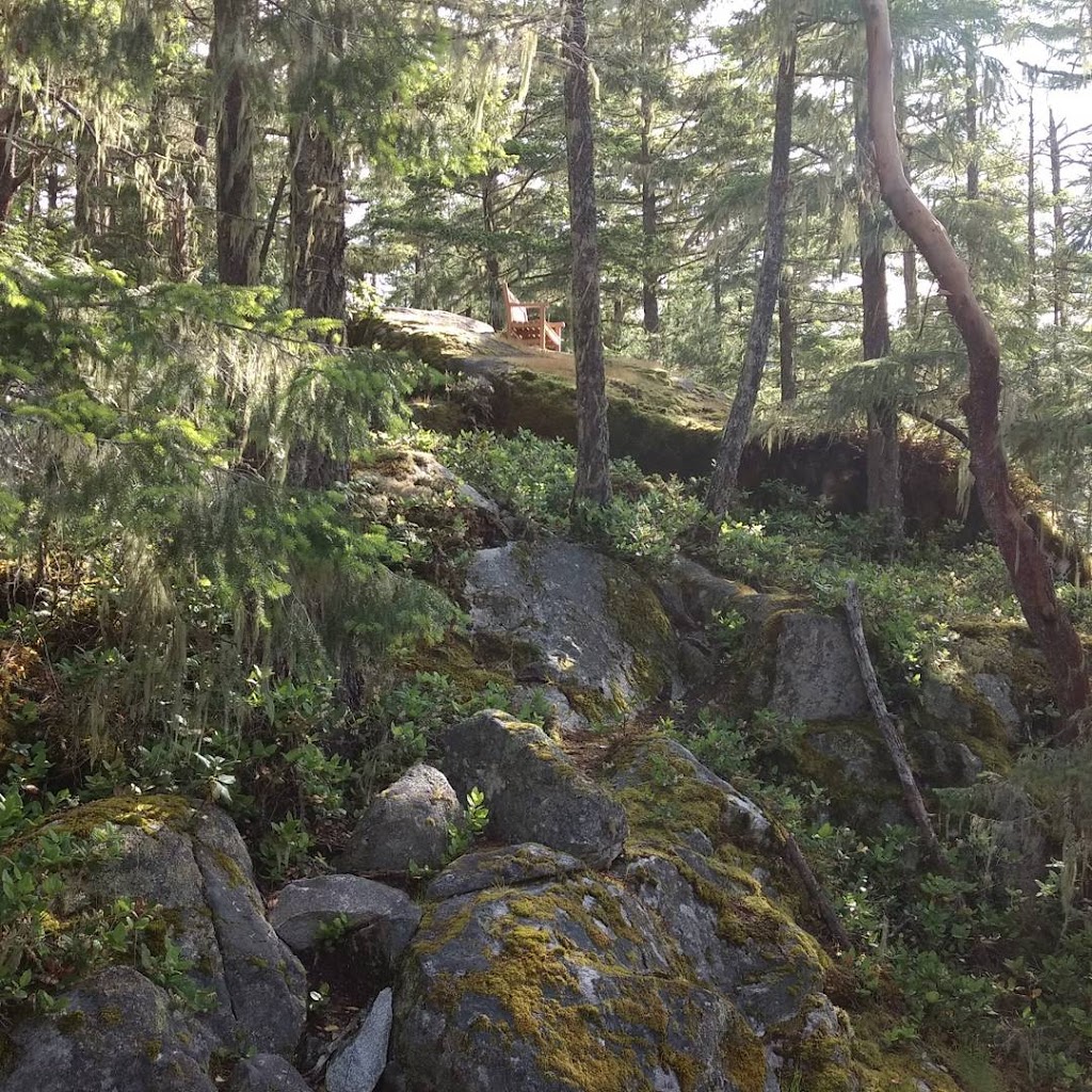 Hidden Grove | 7000 Sechelt Inlet Rd, Sechelt, BC V0N 3A4, Canada | Phone: (604) 885-3797