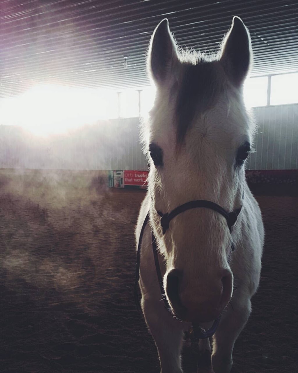 Ridequine | Edenwold No. 158, SK S0G 5K0, Canada | Phone: (306) 781-1962