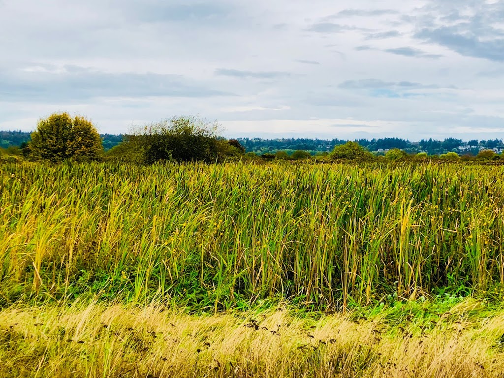 Boundary Bay Regional Park | Boundary Bay Rd, Delta, BC V4L 1N2, Canada | Phone: (604) 520-6442